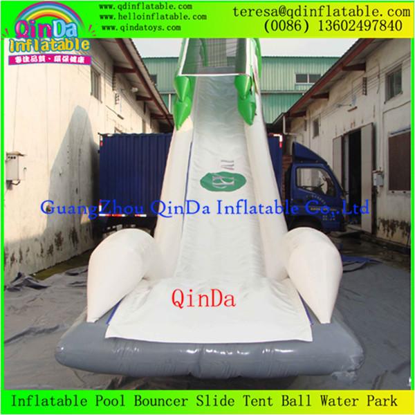 Enjoy Giant Inflatable Water Slide For Adult, Inflatable Toy, Adults Inflatable