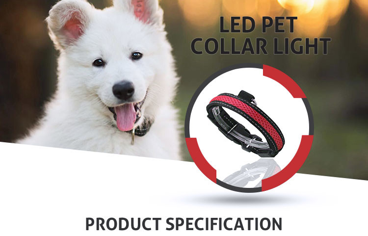 Durable Cat Neck LED Dog Collar Light Up Night Safety Strap S / M / L