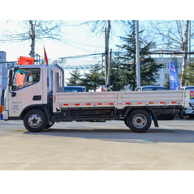 Customized Mini FOTON 4X2 Truck Van Trucks Cargo Van Truck With 4.2Meter Cargo Boxes