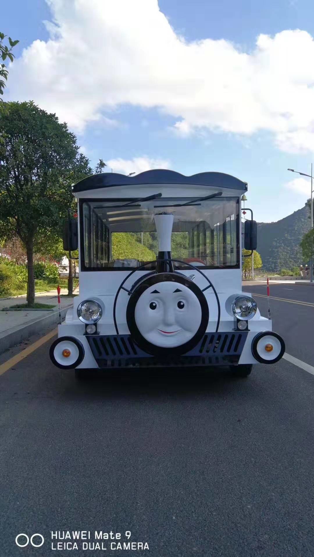Thomas Train Head Cartoon Electric Sightseeing Car Size 5430*1600*2050mm 14 seats