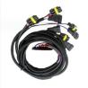 Buy cheap Pure Copper Auto Electrical Wiring Harness Black Wiring Loom Assembly from wholesalers