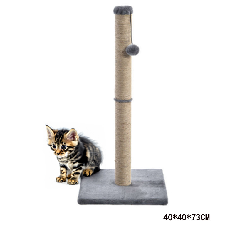 Cat Furniture Modern Wall Mounted Shelves Cat Climb Track Outdoor Space