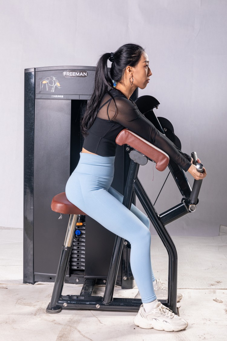 Seated Bicep Curl Pin Loaded Machine Has Self-aligning Handles Commercial Pin Loaded Strength Gym Equipment