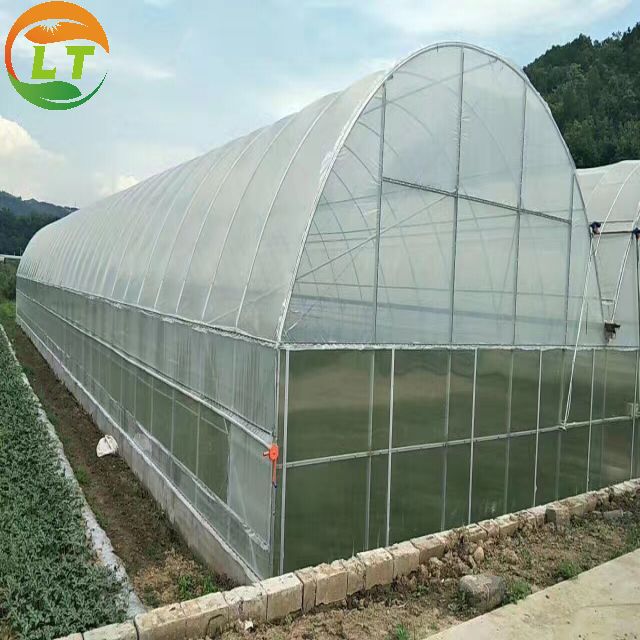 LiTai Greenhouse High Tunnel Greenhouse for Agricultural Plants Growing Instruction