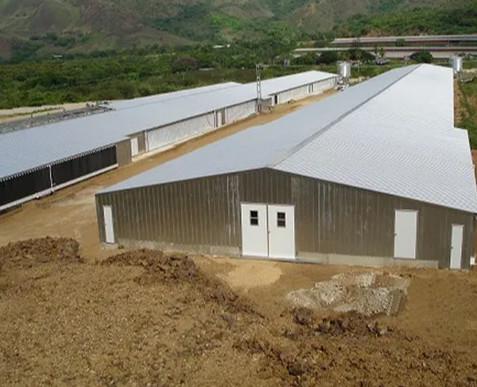 Prefab Light Steel Frame Construction Structure Modular Frame Chicken Poultry