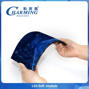 P2 Led Soft Module Indoor Screen Display Indoor Screen Panel 320*160MM SMD1515