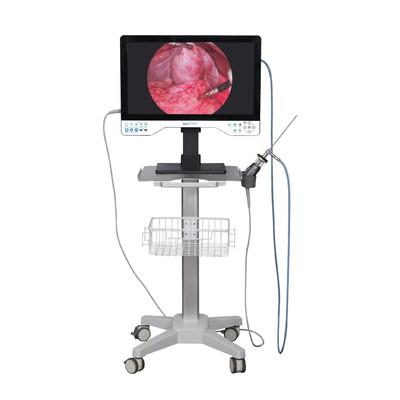Quality 24in TUYOU Nasopharyngoscope Endoscope Camera Recorder For High Definition Laparoscopy Surgeries for sale