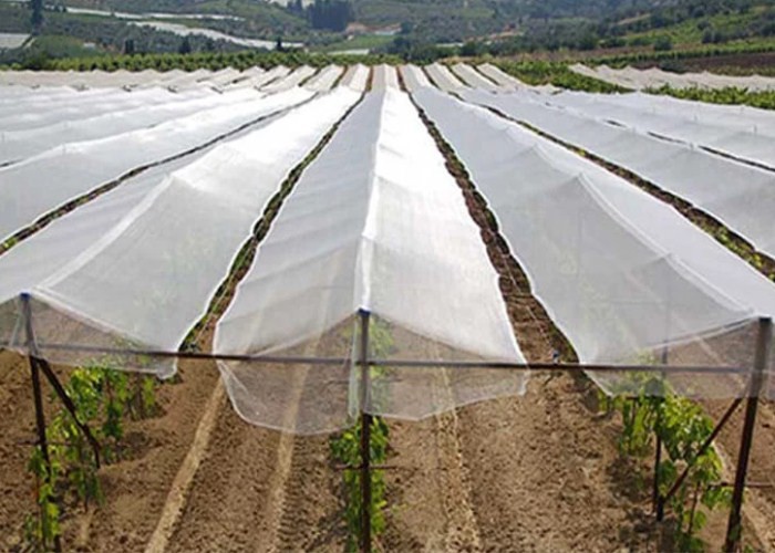 Monofilament Mosquito Net Screen Fine Mesh , Customized Fly Screen Netting