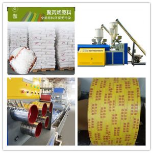 5-19 mm PP packing belt machine, single-screw PP strap band extrusion line PLC