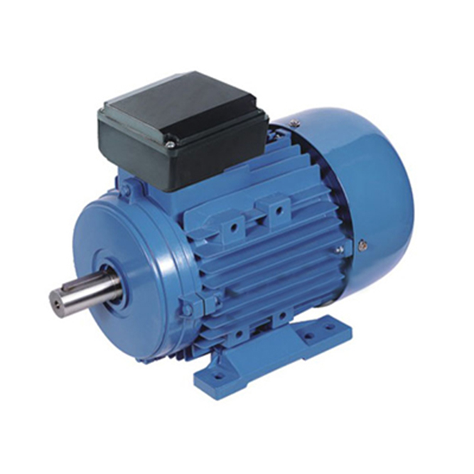 MY single phase electric motor