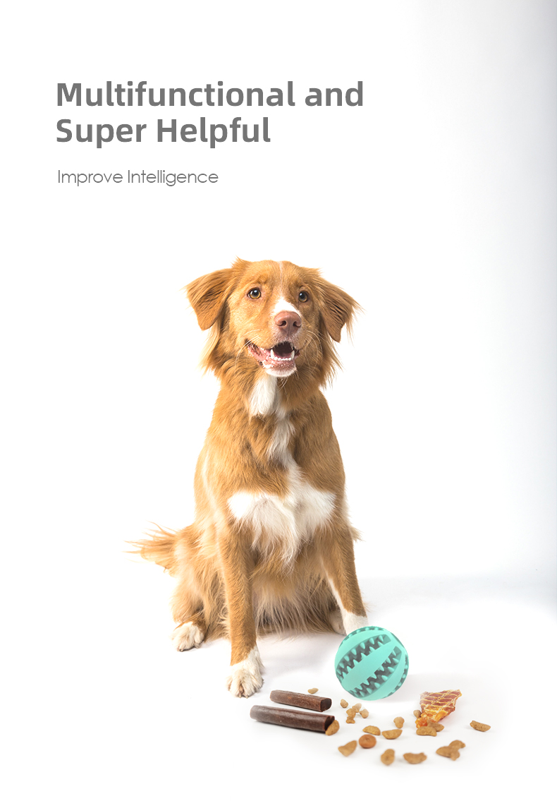 Dog Toy Pet BallHiding Food Puzzle Bite Interactive Chewfor Sustainable
