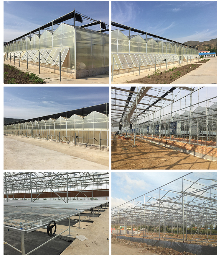 PC Greenhouse for Multi-Span Agricultural Greenhouses Section 8.0m Strong Structure