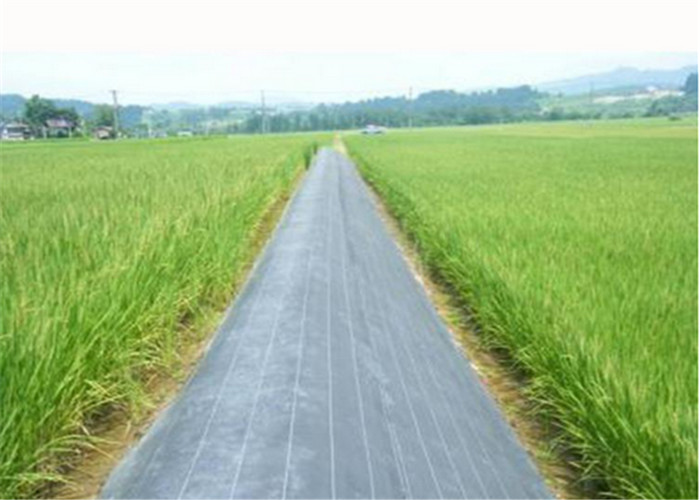 Greenhouse Ground Weed Control Fabric With Optimum Water And Air Permeability
