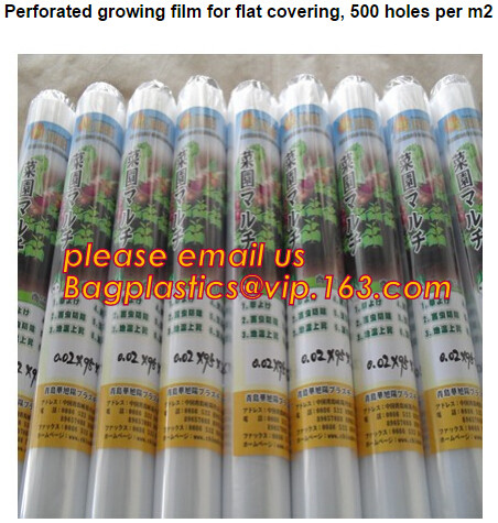 Multi-Span Plastic Film Cover Natural Ventilation Vegetable Greenhouse,Greenhouse Kits Plastic Greenhouse 200 micron gre