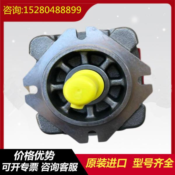 PGH4-2X/020RR11VU2 PGH4-2X/050RE11WU2 Rexrothinternalgearpumpwithcastironandlown