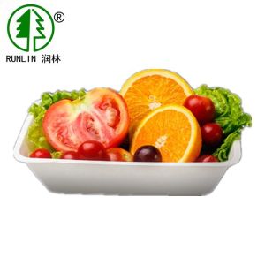 Rectangular Thanksgiving Biodegradable Food Trays Disposable Fruit Container For