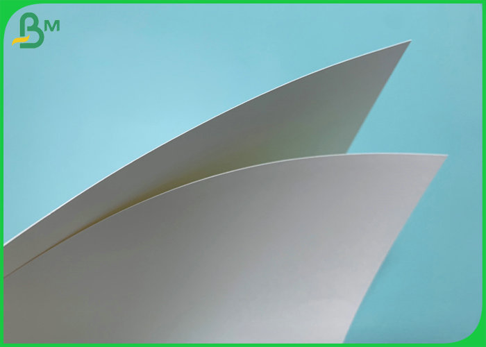 0.44mm Thickness 300gsm Uncoated Cup Paper For Making Paper Cup   