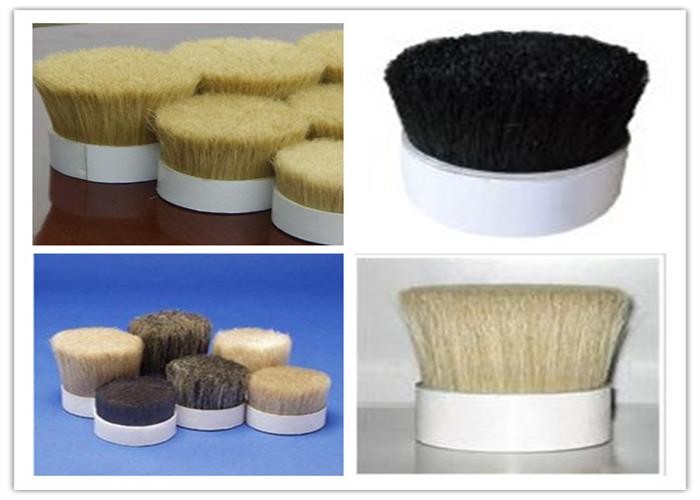 Bleached White / Dyed color Boiled Pig Bristle Animal Hair For Artist Brush Painting Brush