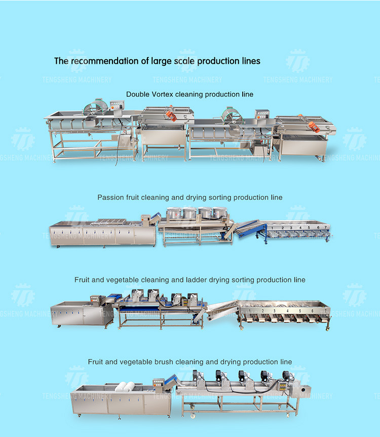 165MM Belt Industrial Vegetable Processing Machine Fruit Selection Washing Cutting Machine