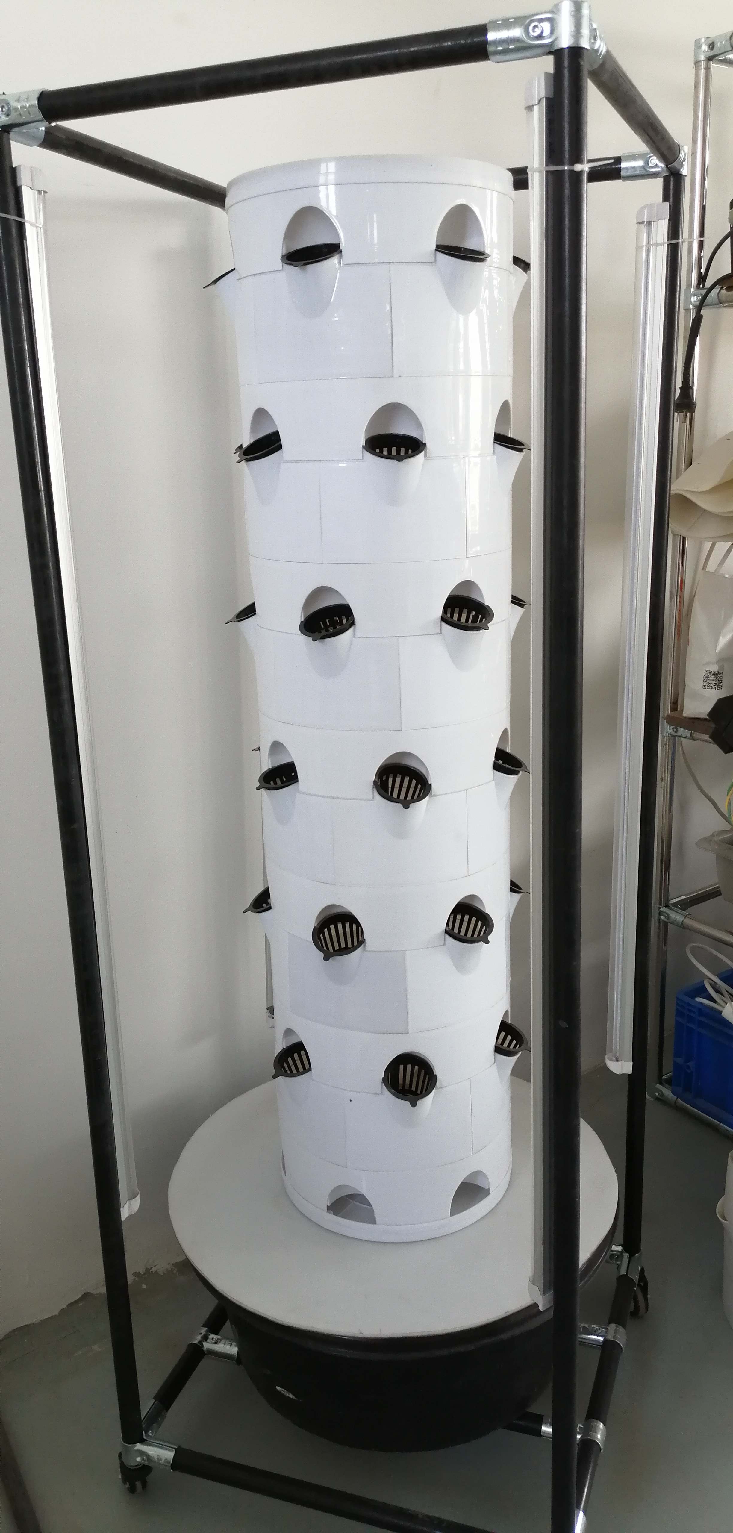 Vertical Hydroponic Cultivation System For Vegetables And Strawberries With Shelf