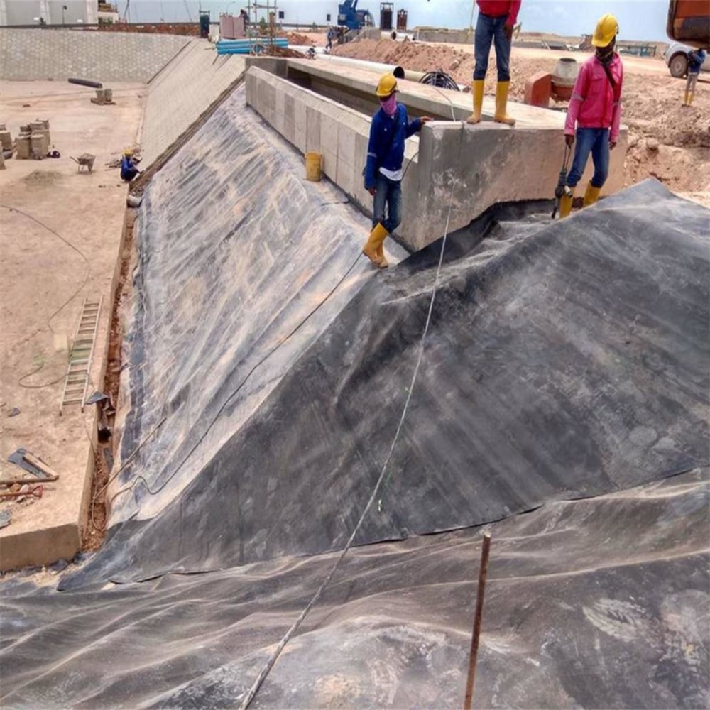 1mm HDPE Geomembrane Pond Liner for Dam Pond Project in Singapore Waterproof Black Blue