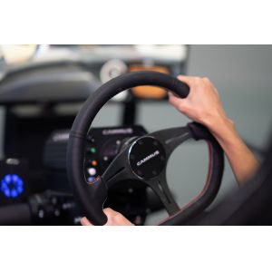 Servo Motor Sim Racing Simulator With Anodized Aluminum Pedal