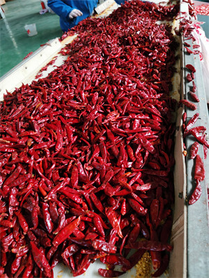 Stemless AD Dried Birds Eye Chilli 20000SHU Red Chilli Peppers