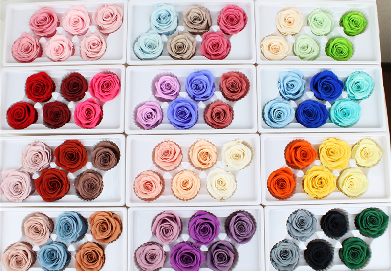 Handmade Preserved Roses Live , Real Touch Flower Decoration For Wedding Reception