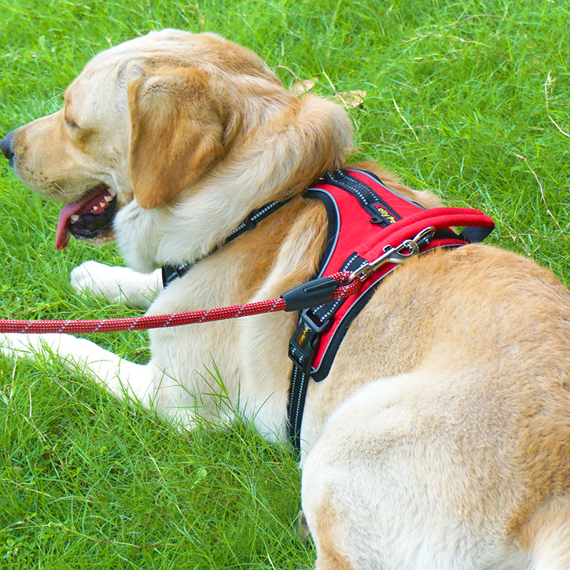 Explosion Proof Nylon Dog Harness Reflective Dog Vest Harness Medium Large