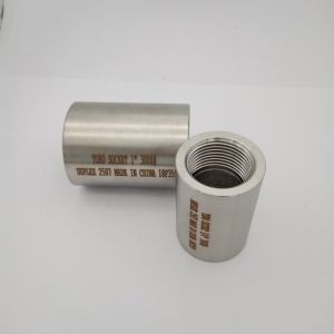  Class 3000 Duplex 2507 NPT Normal Thread Pipe Fitting Manufactures