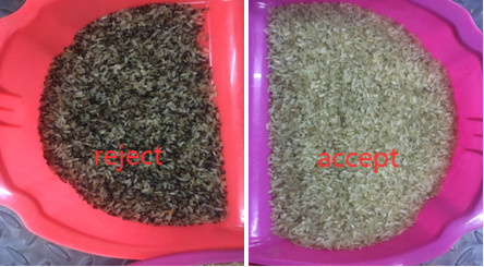 Wenyao Rice Color Sorter Four Chutes With WIFI Remote Control Service