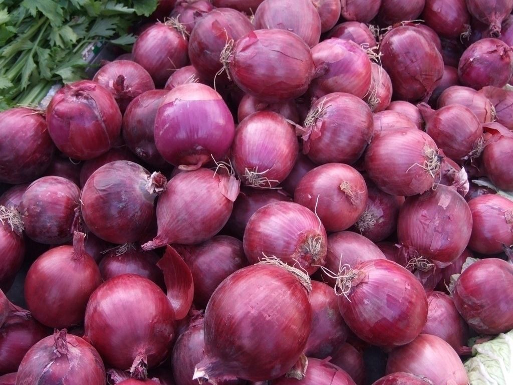 5cm Blood Pressure Reducing Natural Fresh Onion