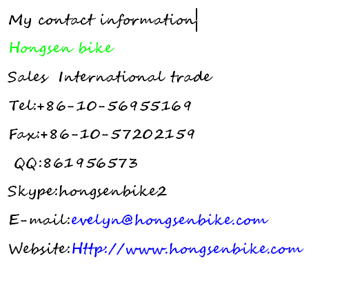Magnetic Bike Trainer HS-Q02A