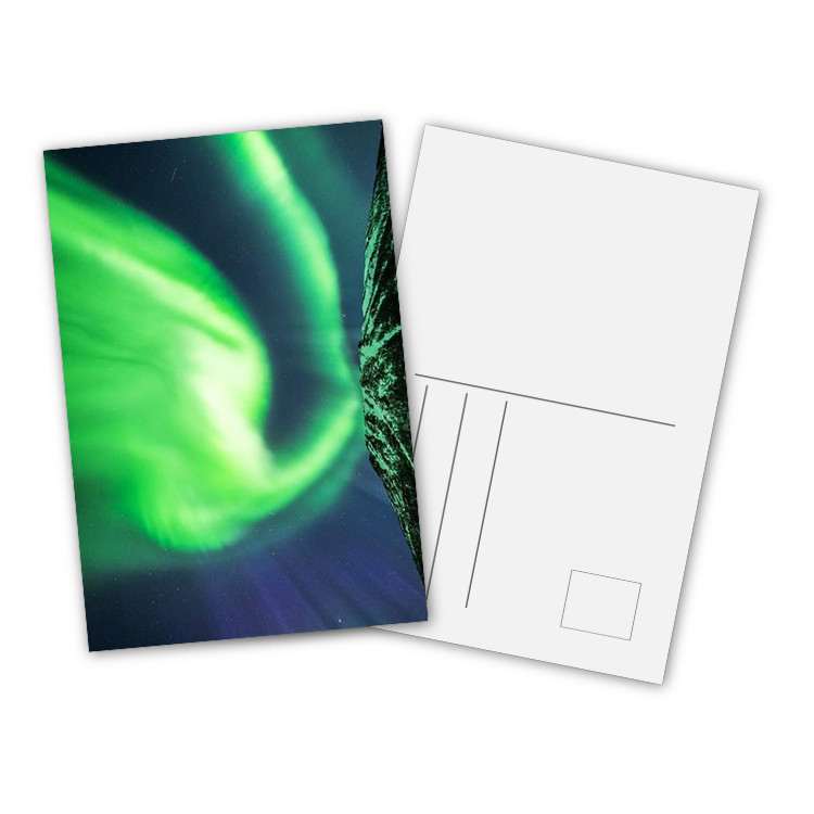 Animal Design 3D Lenticular Printing Service Custom Lenticular Postercard