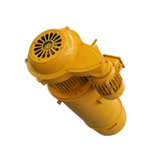 Customized Electric Hoist 0.5T-30T with Overload Protection Device