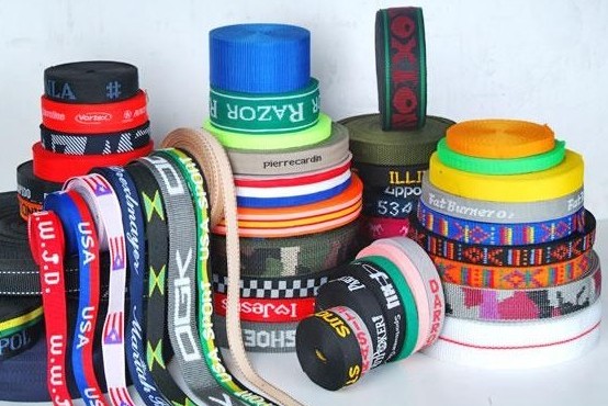 elastic belt