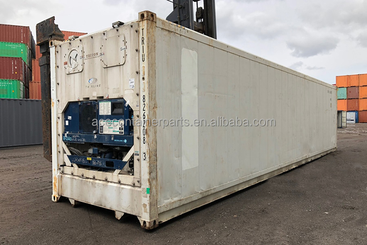 20ft Second Hand Refrigerated Freezer Minus 18 Degree Reefer Container in Dubai Door Opening 2290 x 2246 MM Age 2004-2008