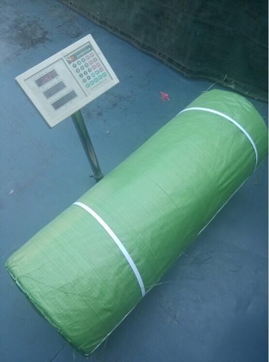 Individual Wrapped 36" High Absorbency Medical Dressing Absorbent Gauze Roll