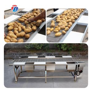 Potato Selection Table Ginger Carrot radish Celery kale lemon Saiko persimmon