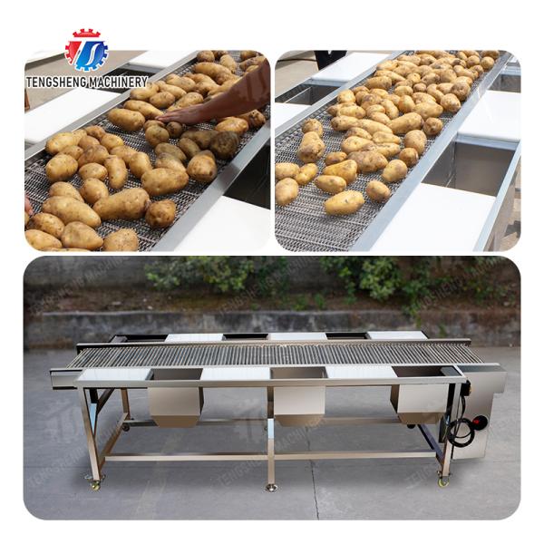 Potato Selection Table Ginger Carrot radish Celery kale lemon Saiko persimmon