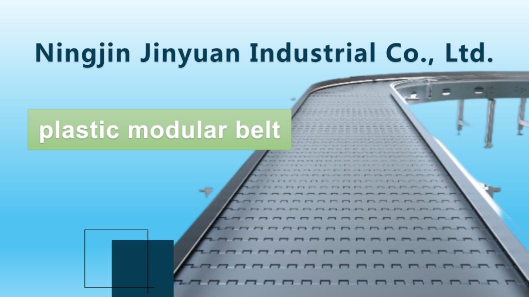 High Quality Modular Food Grade Flexible Chain Conveyor Belt for Pizza