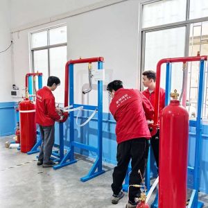 IG541 Inert Gas Fire Suppression System for Financial Archives