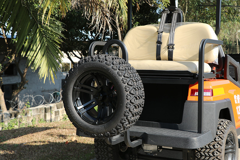 48V Electric Golf Buggy with Red/Blue Strobe Light With Trojan Battery