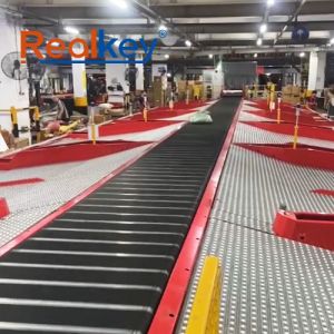 Effective Package Sorting Machine Modular For Fragile Items Customized Solutions