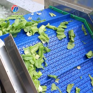 Washing Hoisting machine Fruit Orange Vegetable Apple pineapple Ginger Potato