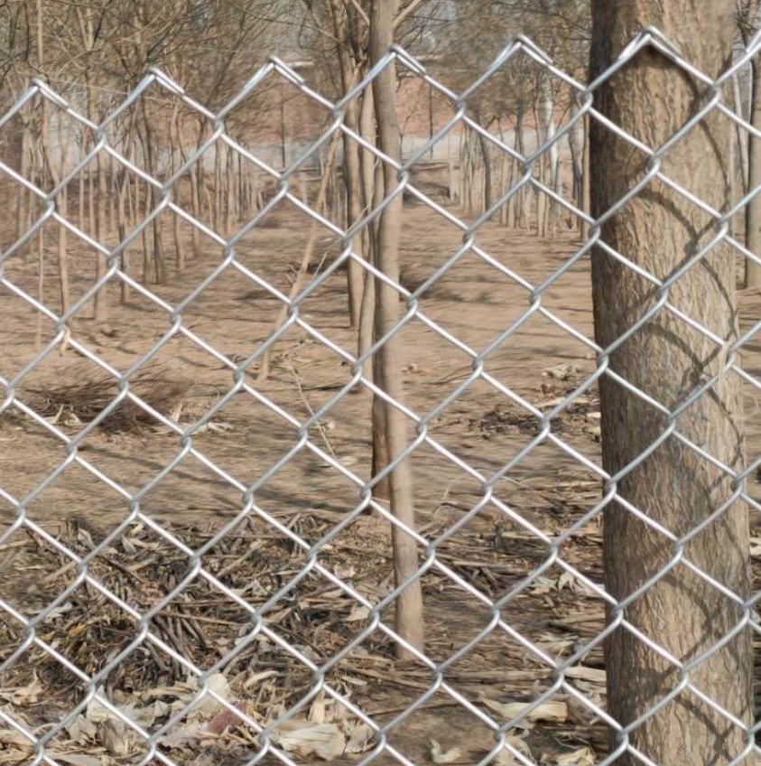 6 Foot Galvanized Chain Link Fence Pvc Coated Green Black Hot Dipped Diamond Hole