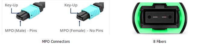 8 Fibers MPO to LC OM4 Fiber Optic MPO-LC 2.0mm Straight harness Cables