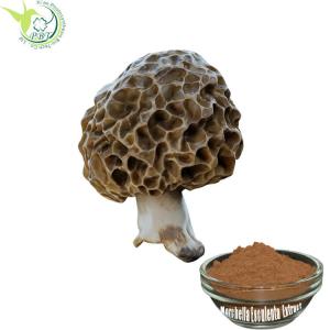  Morchella Esculenta Organic Plant Extracts Agaricus Blazei Mushroom Manufactures