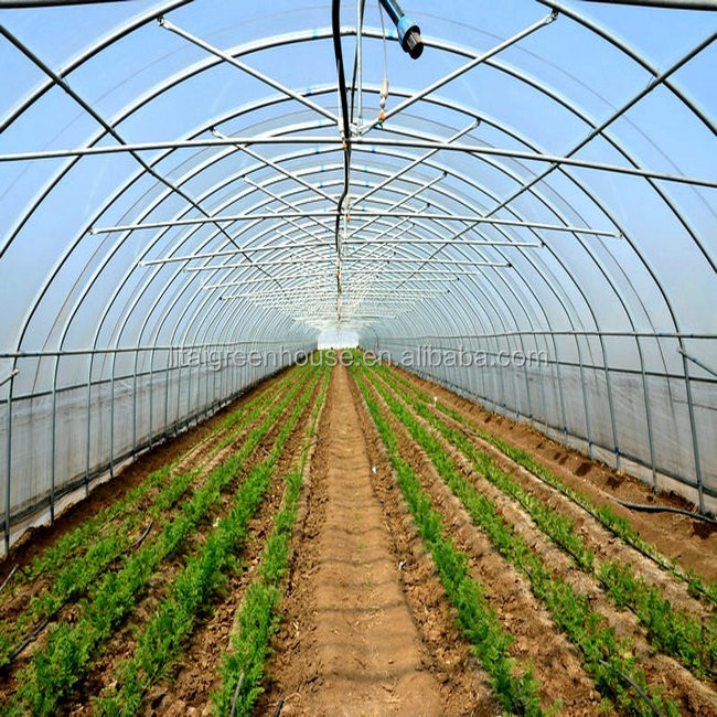 White Double Layer Greenhouse for Mushroom Farming Profitability