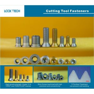 China Grade 12.9 Custom Fasteners M1.6 to M8 for Camera Mobile Phone Screws on sale